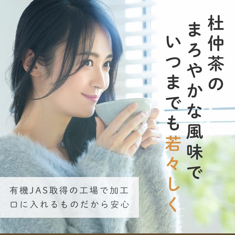 健康菜茶 国産杜仲茶 遠赤焙煎 無農薬 無添加 ティーバッグ 40包