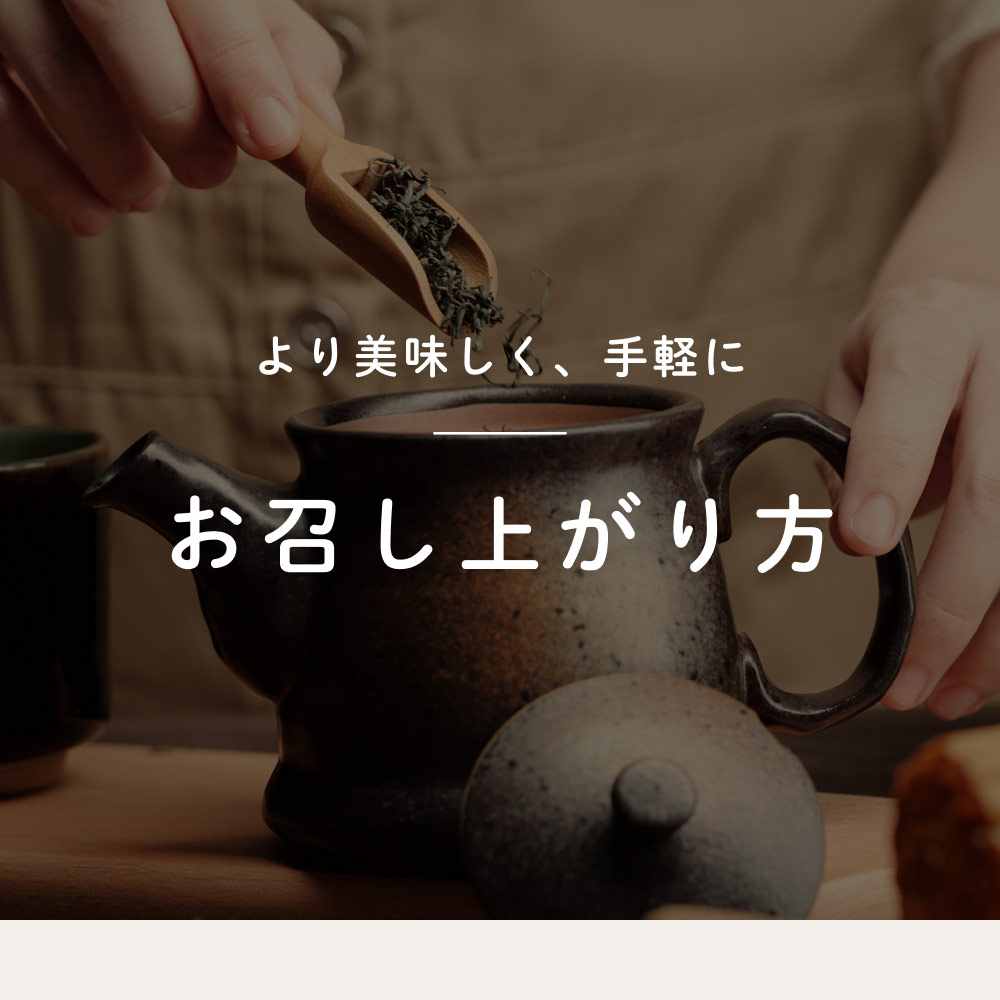 健康菜茶 国産焙煎ごぼう茶 水出し ティーバッグ 50包