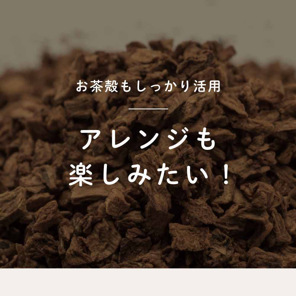 健康菜茶 国産焙煎ごぼう茶 水出し ティーバッグ 50包