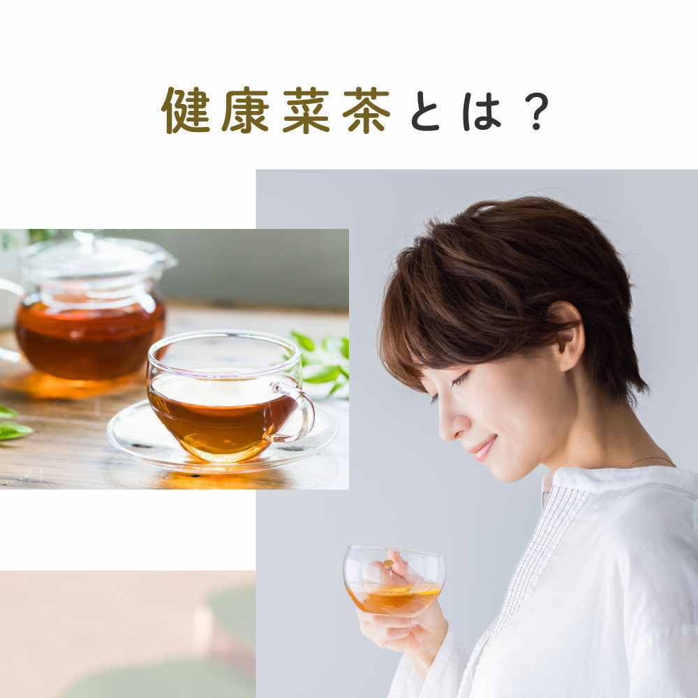 健康菜茶 国産焙煎ごぼう茶 水出し ティーバッグ 50包