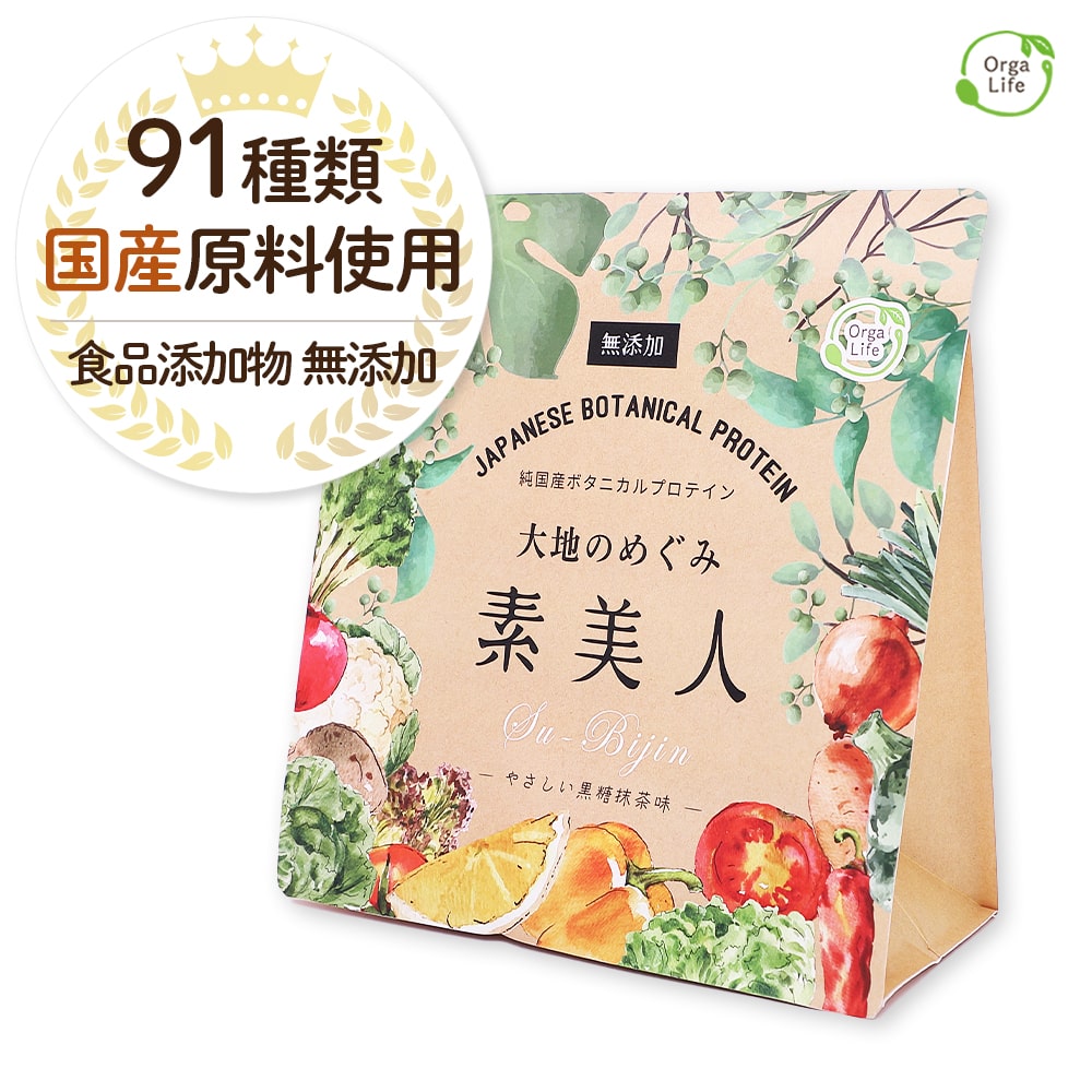 大地のめぐみ素美人 やさしい黒糖抹茶味 純国産ソイプロテイン 完全食 無添加 250g