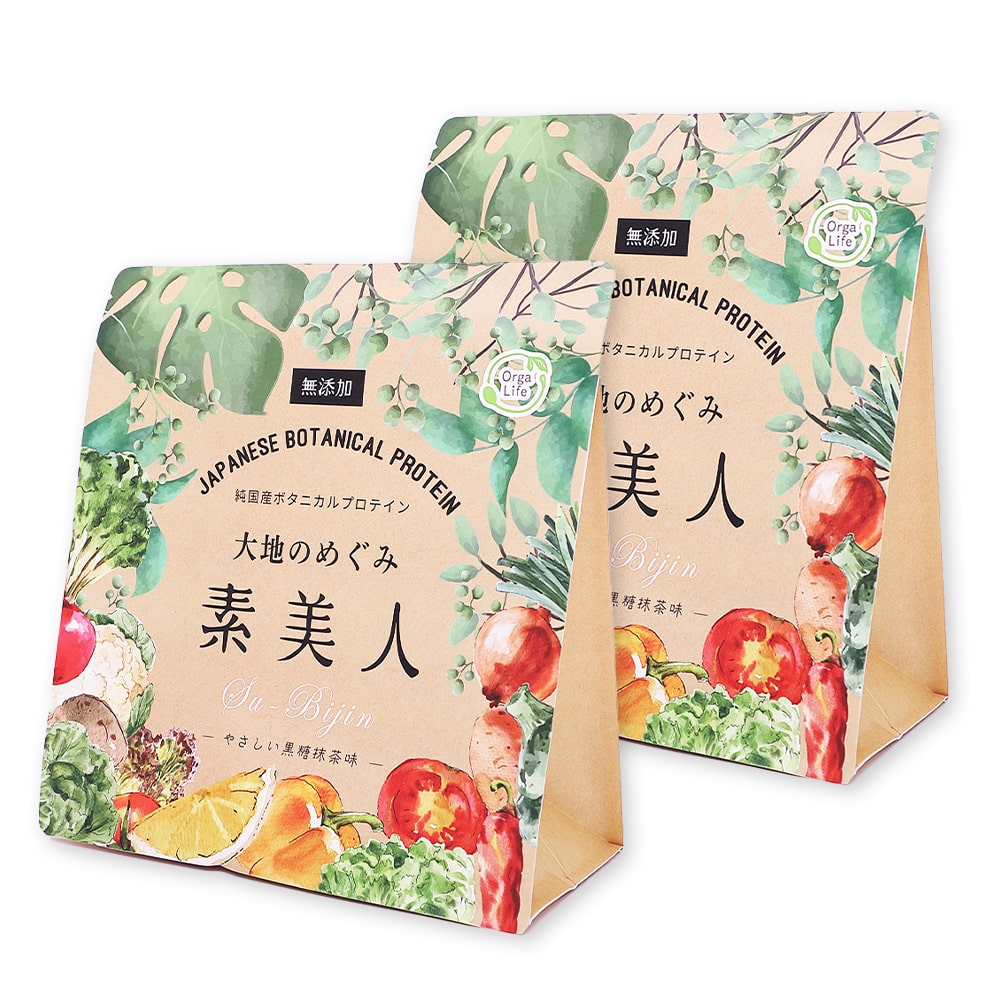 大地のめぐみ素美人 やさしい黒糖抹茶味 純国産ソイプロテイン 完全食 無添加 250g
