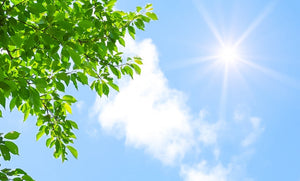 紫外線対策は体の内側から！ビタミンCやリコピン豊富な赤い食材とは？