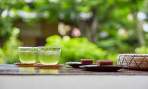秋の花粉症対策：べにふうき緑茶で健康的に乗り切る方法
