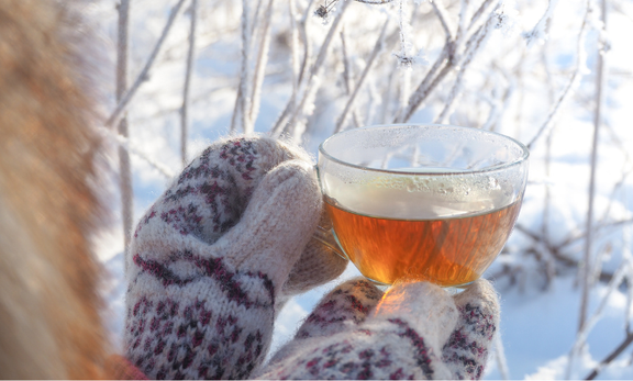 冬の乾燥肌・くすみ対策に！ポリフェノール豊富な「ごぼう茶」で巡りと美肌力をアップ