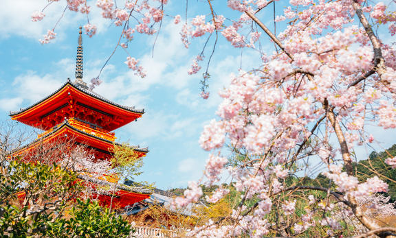 花祭りに飲みたい「甘茶」｜春のストレスを癒すオーガニックティーの魅力