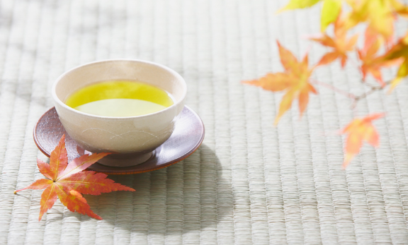 秋花粉対策は10月から。外出後のひと息に楽しむ国産べにふうき緑茶