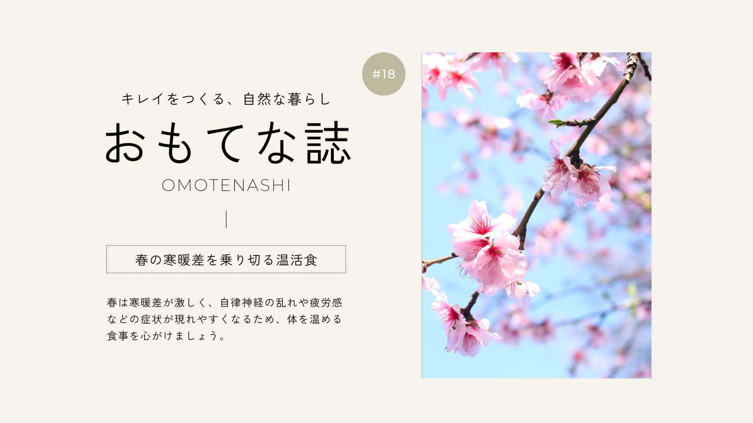 オーガライフの商品カタログ「おもてな誌」