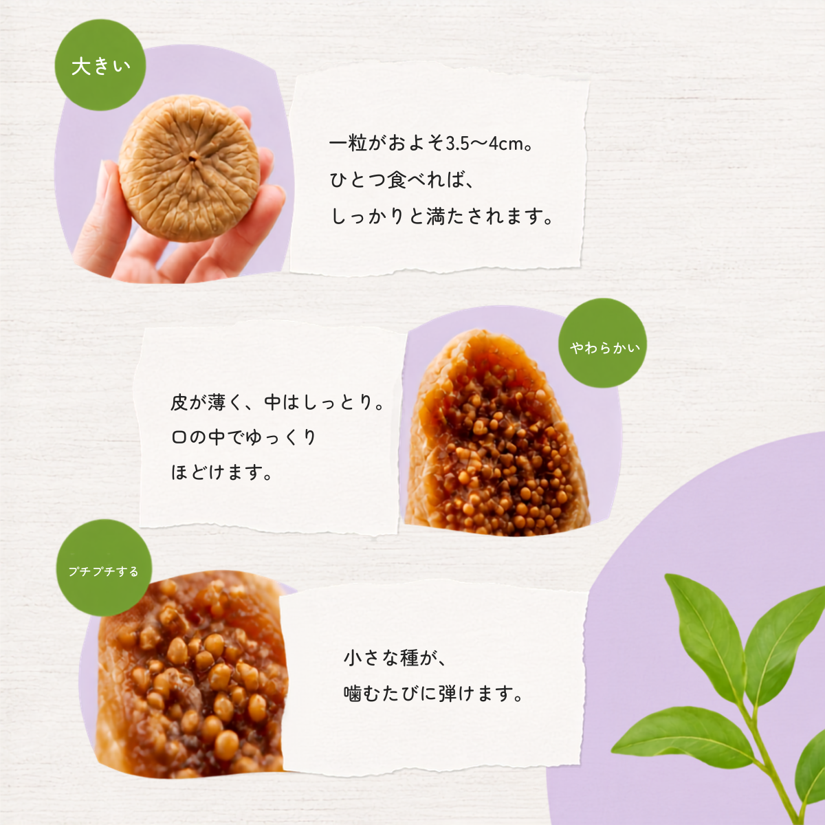 有機ドライいちじく 無添加 砂糖不使用 150g
