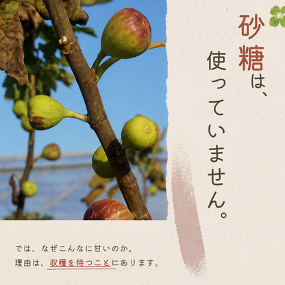 有機ドライいちじく 無添加 砂糖不使用 150g