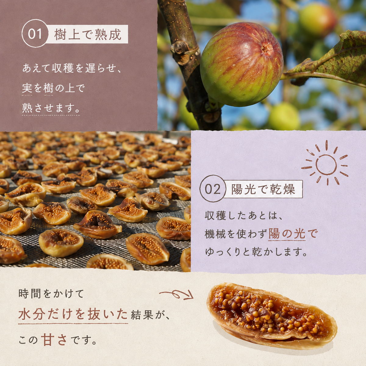 有機ドライいちじく 無添加 砂糖不使用 150g