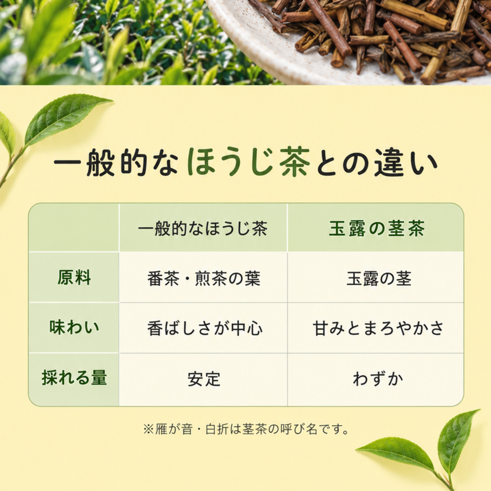 健康菜茶 玉露茎ほうじ茶 京都宇治 高級 玉露くき茶使用 100g