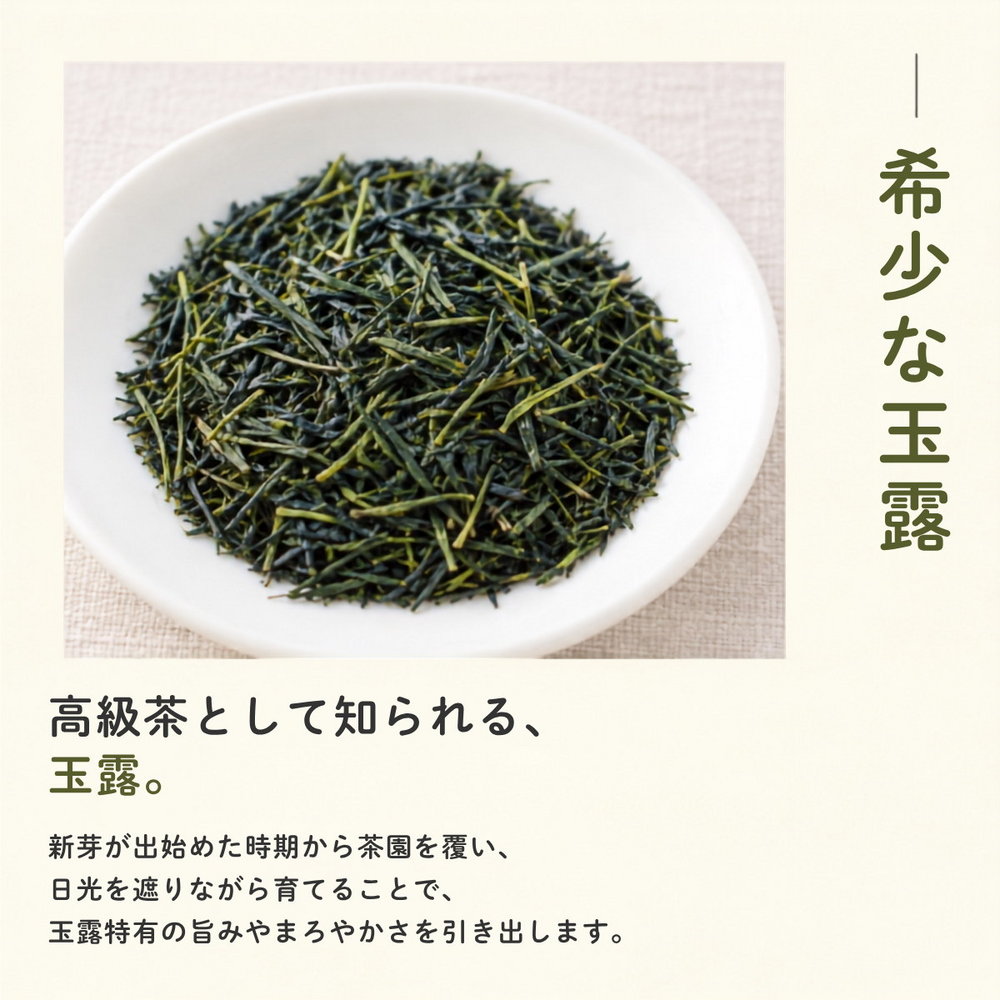 健康菜茶 玉露茎ほうじ茶 京都宇治 高級 玉露くき茶使用 100g