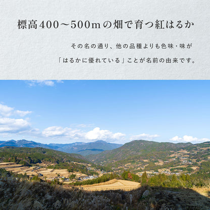 風土日和 国産熟成黒干し芋100g 無添加 紅はるか