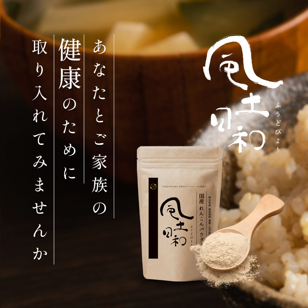 風土日和 国産 無農薬 れんこんパウダー 70g
