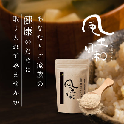 風土日和 国産 無農薬 れんこんパウダー 70g