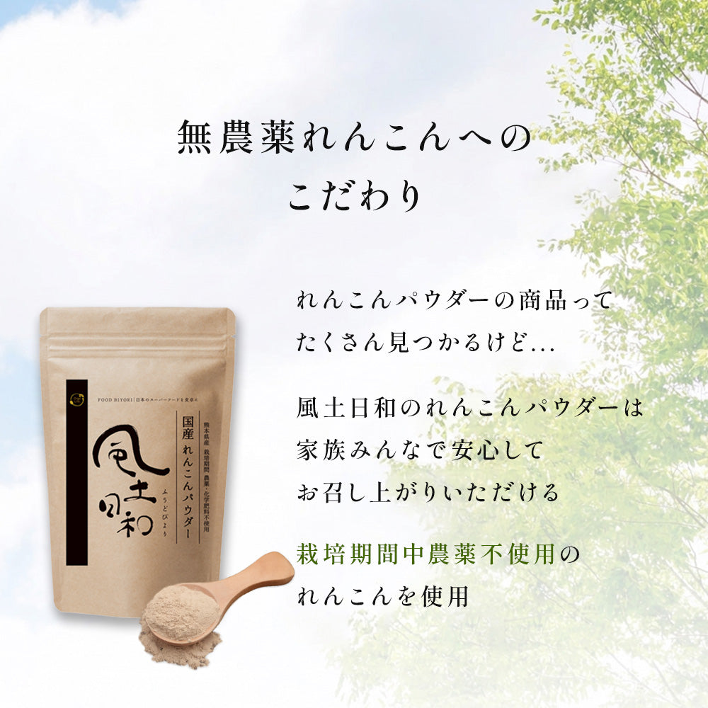 風土日和 国産 無農薬 れんこんパウダー 70g