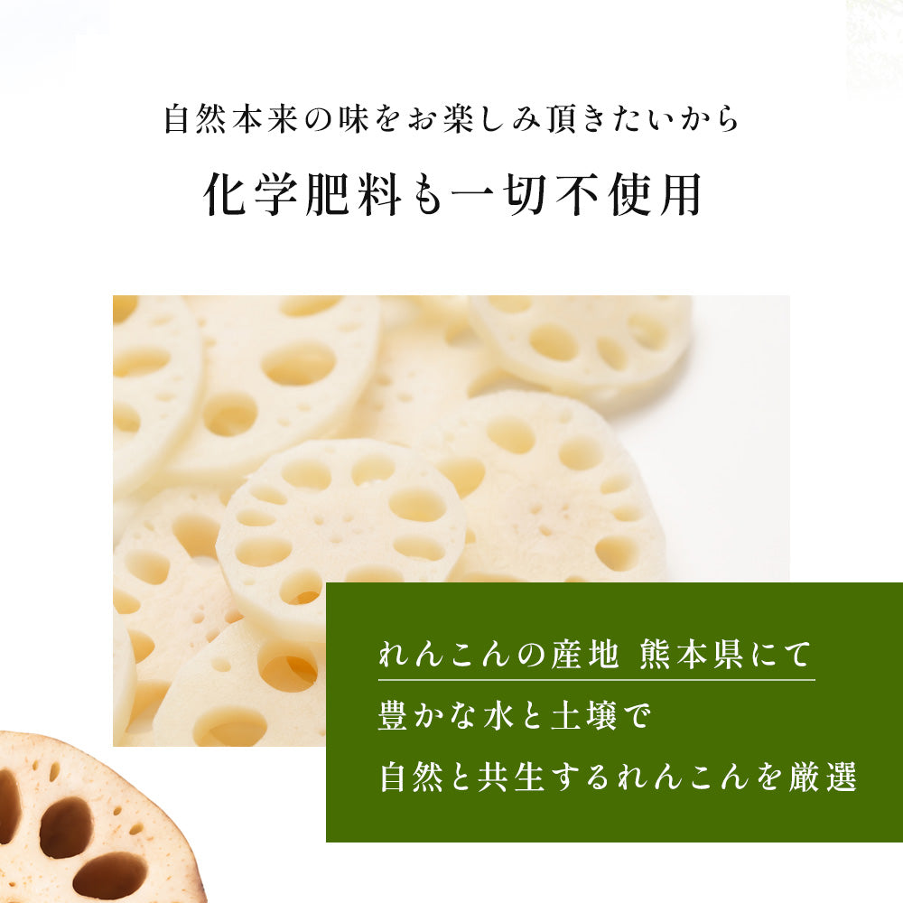 風土日和 国産 無農薬 れんこんパウダー 70g