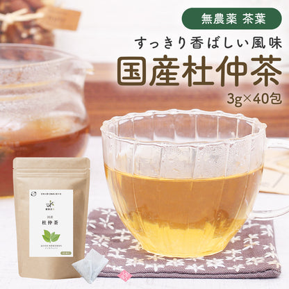 健康菜茶 国産杜仲茶 遠赤焙煎 無農薬 無添加 ティーバッグ 40包