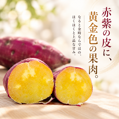 風土日和  極上ひとくち 焼き芋 無添加 なると金時