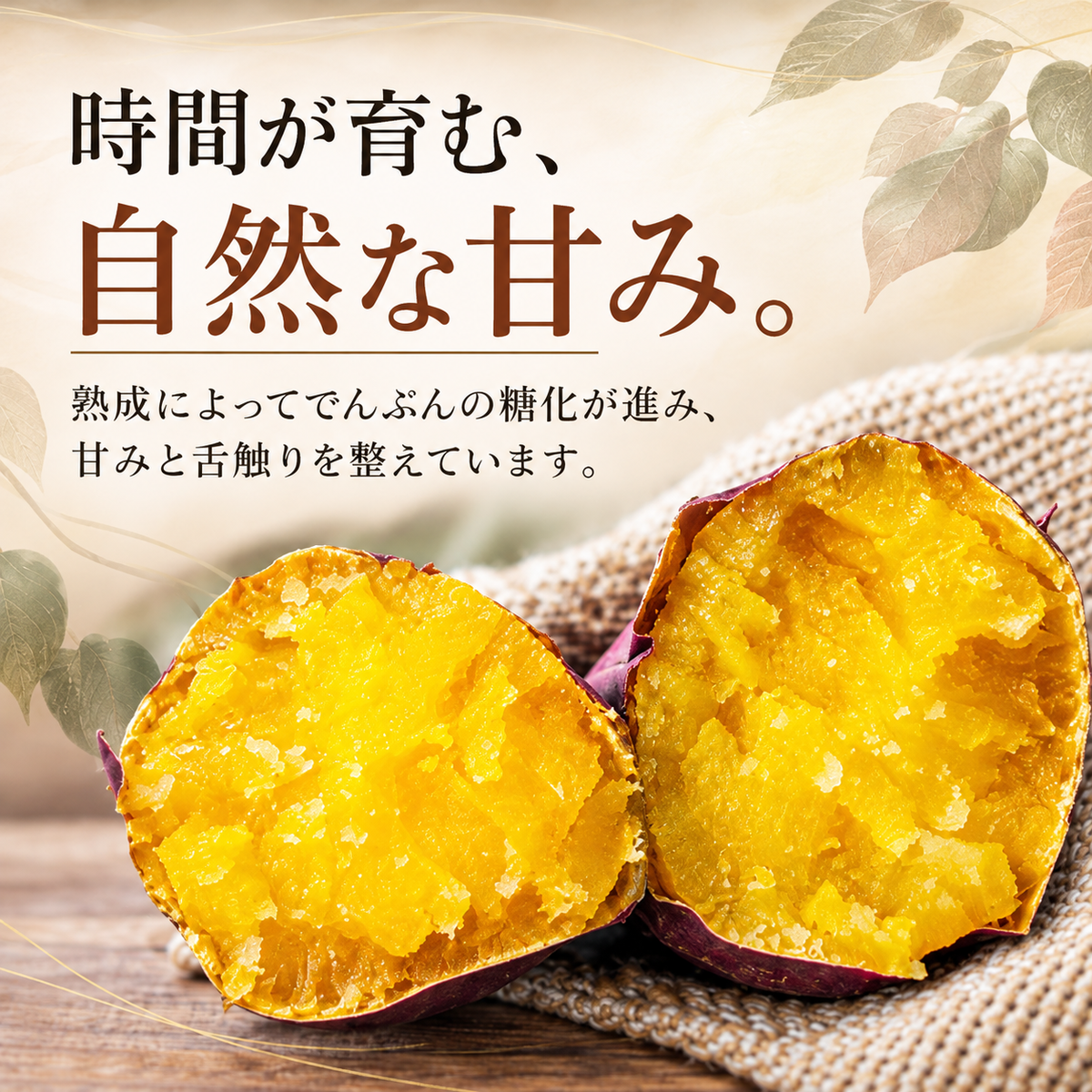 風土日和  極上ひとくち 焼き芋 無添加 なると金時