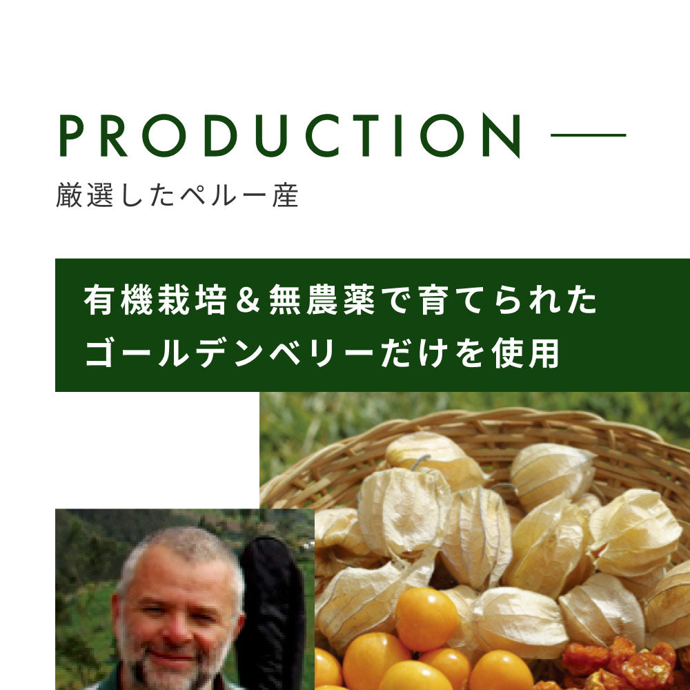 ゴールデンベリー 100g インカベリー ドライフルーツ 無添加 農薬不使用 食用ほおずき ホオズキ 砂糖