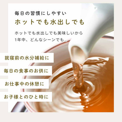 健康菜茶 国産焙煎ごぼう茶 水出し ティーバッグ 50包
