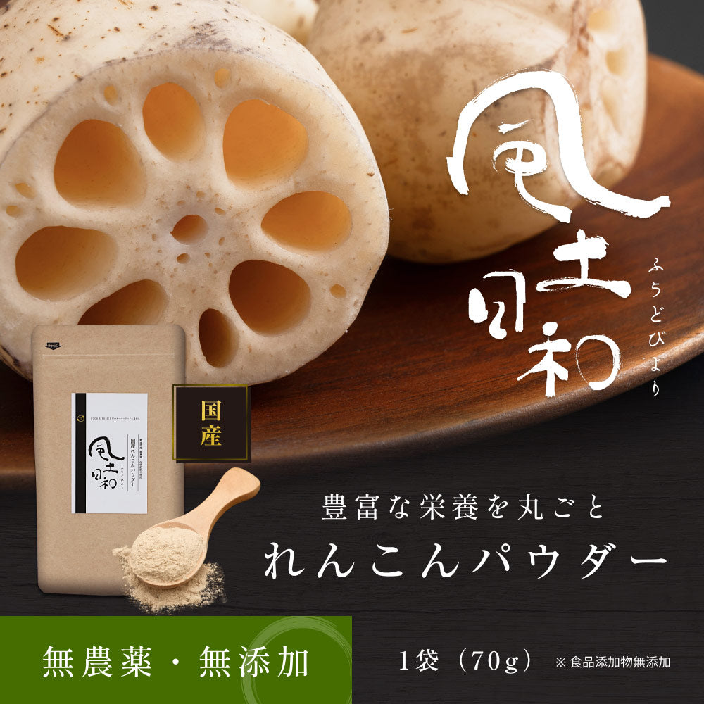 れんこんパウダー 200g 2セット 国産 レンコンパウダー 蓮根粉末 無