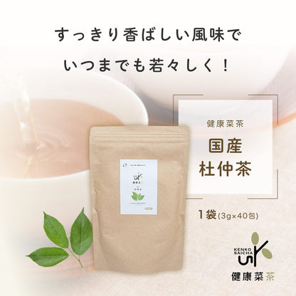 健康菜茶 国産杜仲茶 遠赤焙煎 無農薬 無添加 ティーバッグ 40包